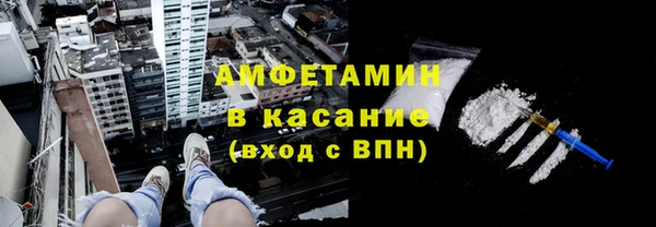 индика Саяногорск