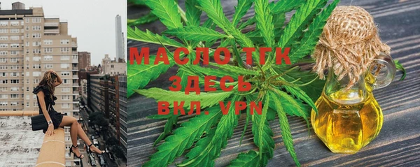 индика Саяногорск