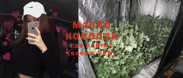 индика Саяногорск