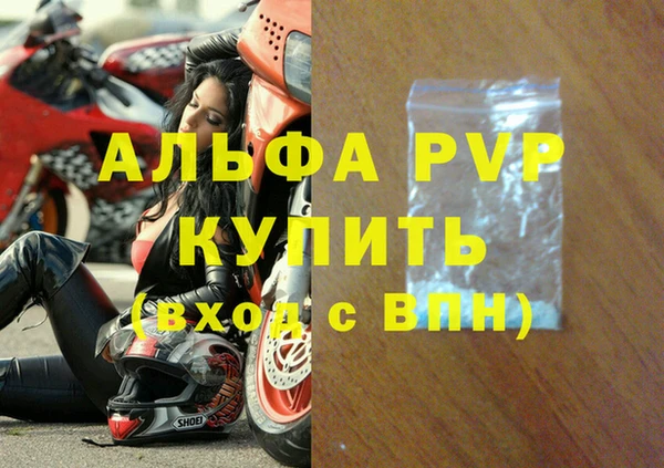 индика Саяногорск