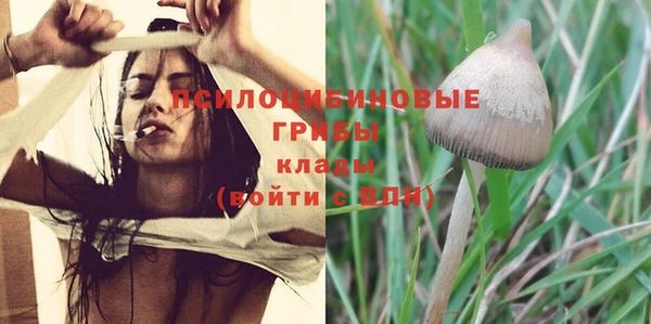 мескалин Сафоново