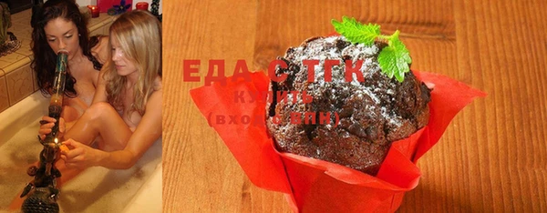 индика Саяногорск