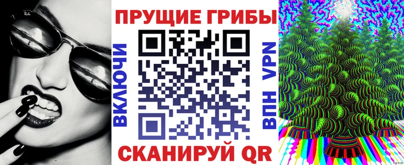 Купить где  Магнитогорск  Галлюциногенные грибы MAGIC MUSHROOMS 